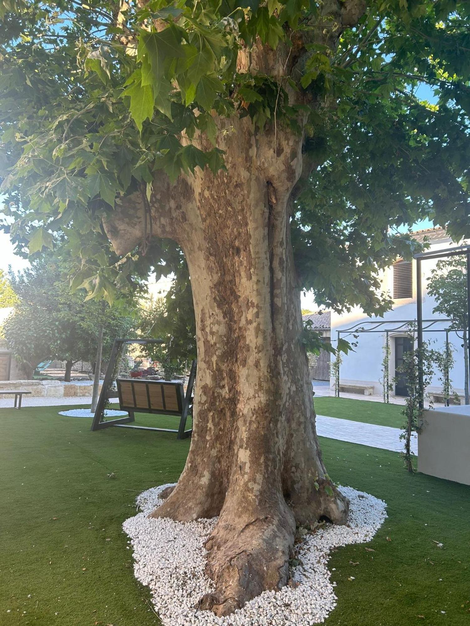 مبيت وإفطار Lavérune Les Marronniers المظهر الخارجي الصورة